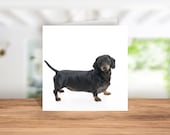 Dachshund Greetings Card, Dachshund Birthday Card, Dachshund Thank you Card, Dachshund  Christmas Card, Card for Dachshund Owner, Coaster