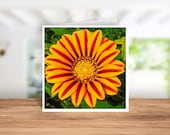 Card for Gardener, Gardening Fans Birthday Card, Gardening Fan Christmas Card, Gardeners Thank You Card, Orange & Red Daisy Flower,  Nature,