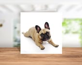 French Bulldog Card, French Bulldog Birthday Card, French Bulldog Thank you Card, French Bulldog Christmas card, French Bulldog Owner Card