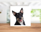 Australian kelpie Greetings Card, Australian kelpie Birthday Card, Australian kelpie Thank you Card, Australian kelpie Christmas Card,