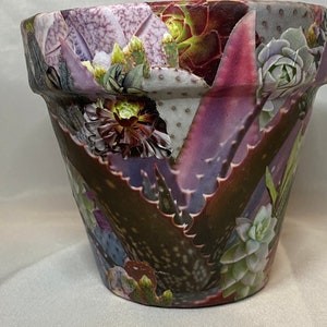 Succulents & Cactus Houseplant Terra Cotta Planter with Drain Hole~ FREE SHIPPING