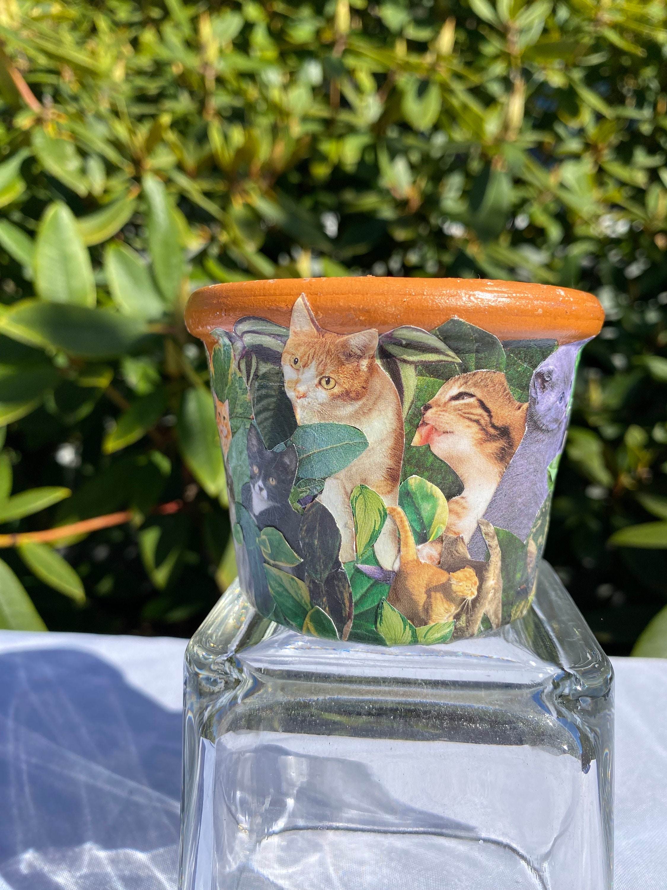 Cat & Houseplant Planter | Small Terra Cotta Succulent Pot - Etsy