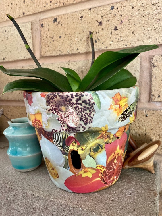 Unique Terra Cotta Orchid Pot With Drain Holes Wide Flower Etsy