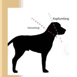 EM-Keramik Halsband nach Maß Zeckenschutz Zeckenhalsband Zeckenband Olive mit Namenswunsch/ ca. 20 Millimeter Breite Bild 3