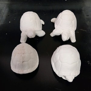 4 Small Tortoises