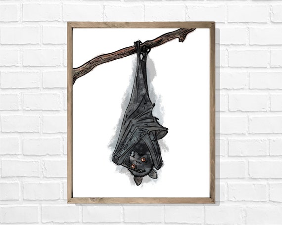 Bat Hanging Upside-down Drawing Wall Art Décor Inktober - Etsy