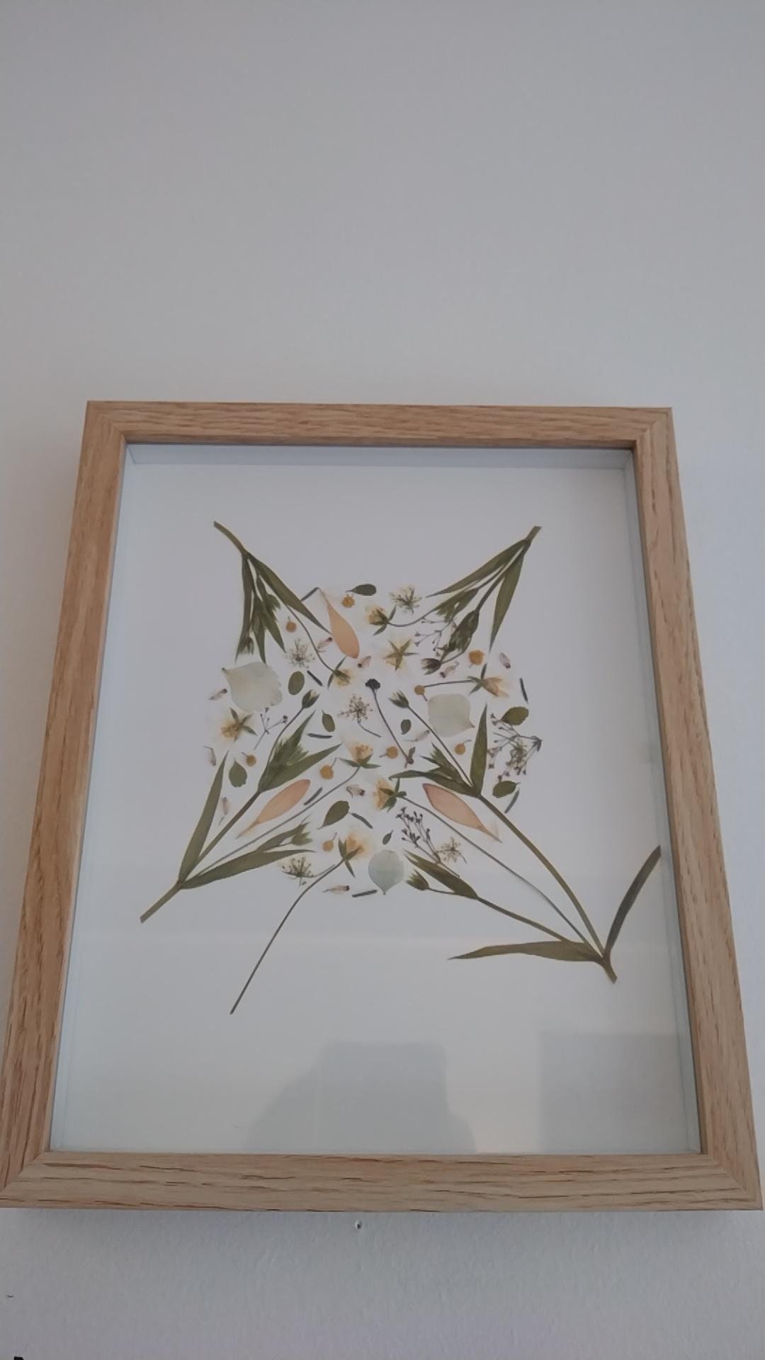 Herbier - Diverses Fleurs Moderne Pastel