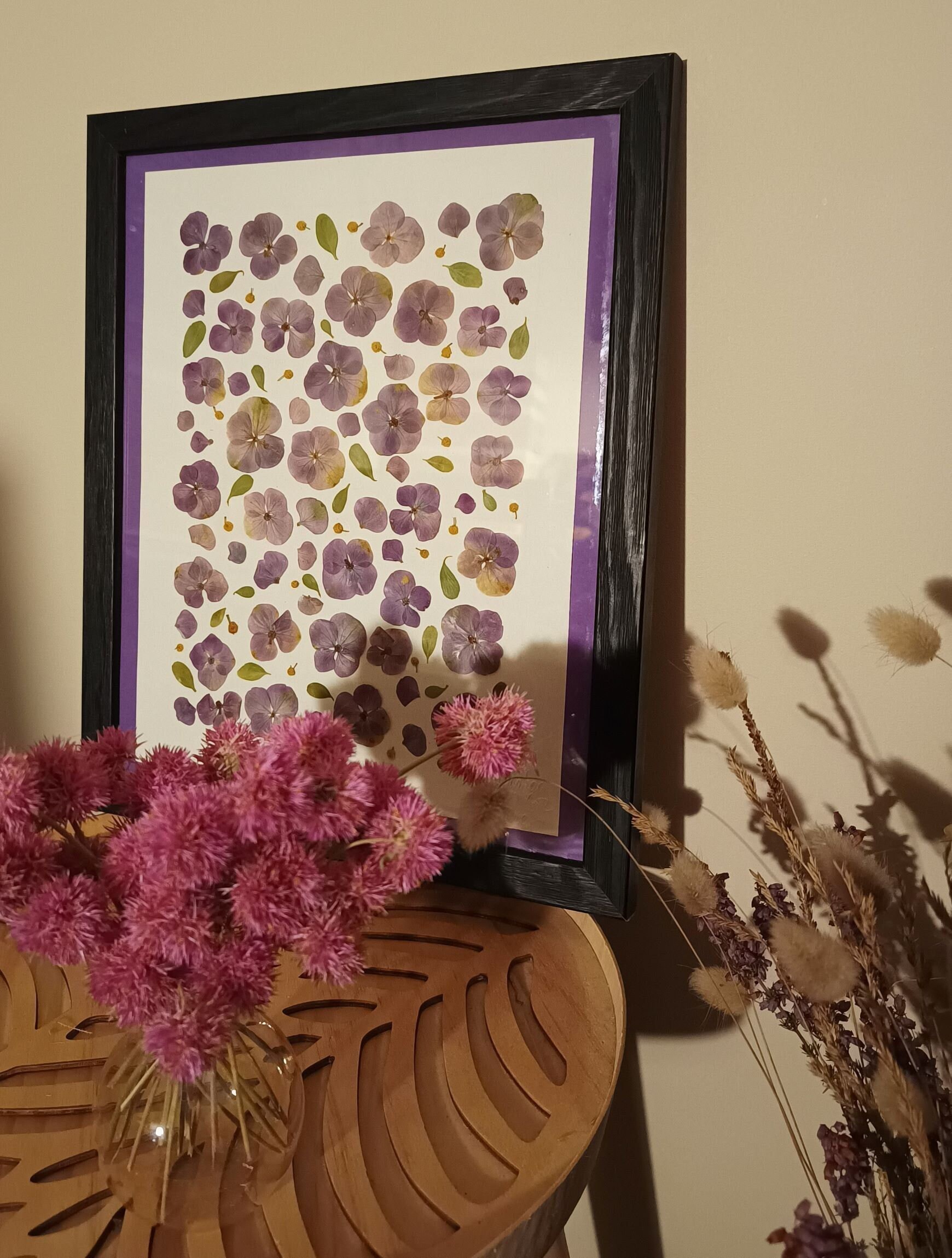 Herbier - Fleurs d'hortensias