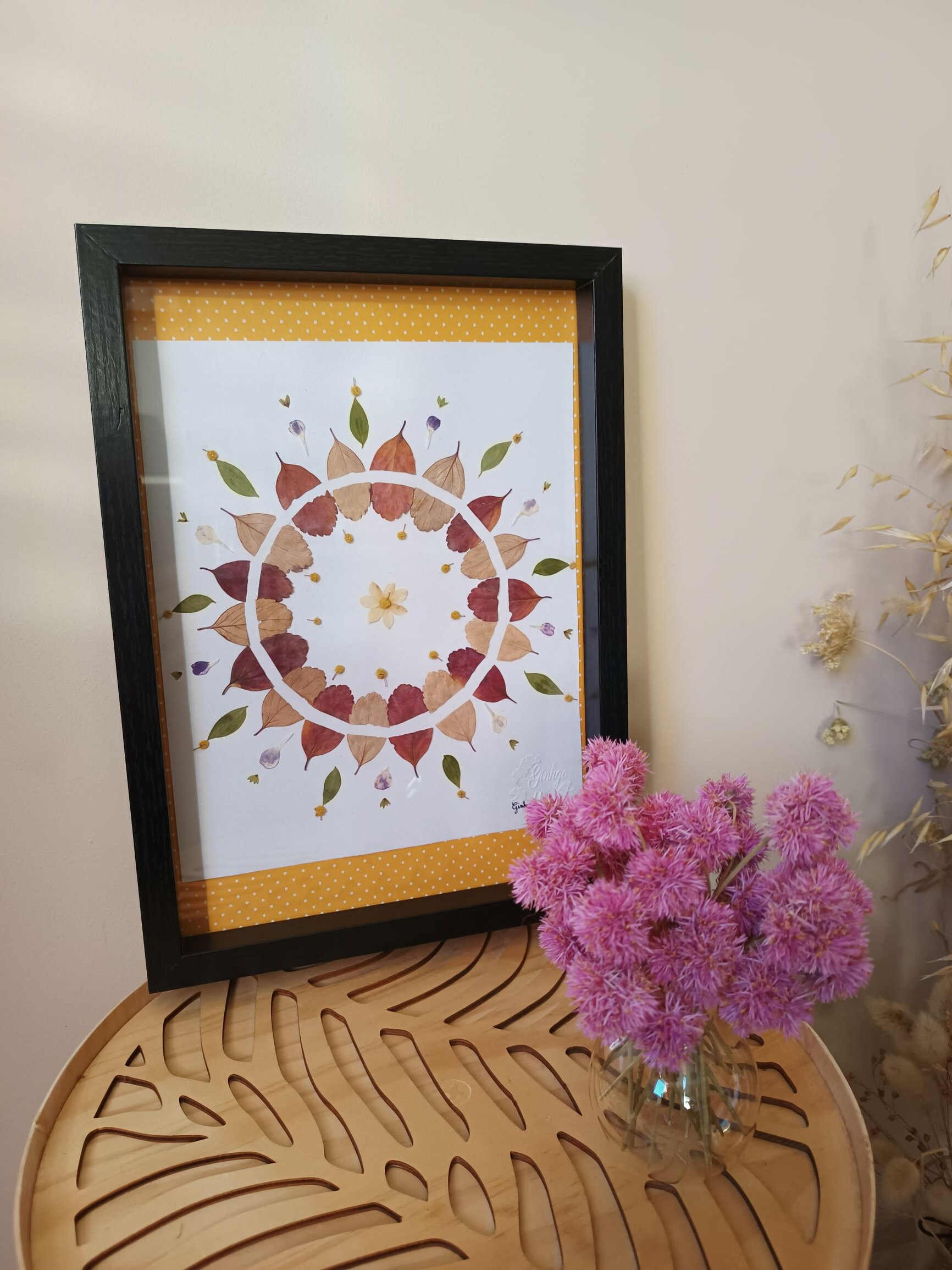 Herbier Fleurs - Marguerites