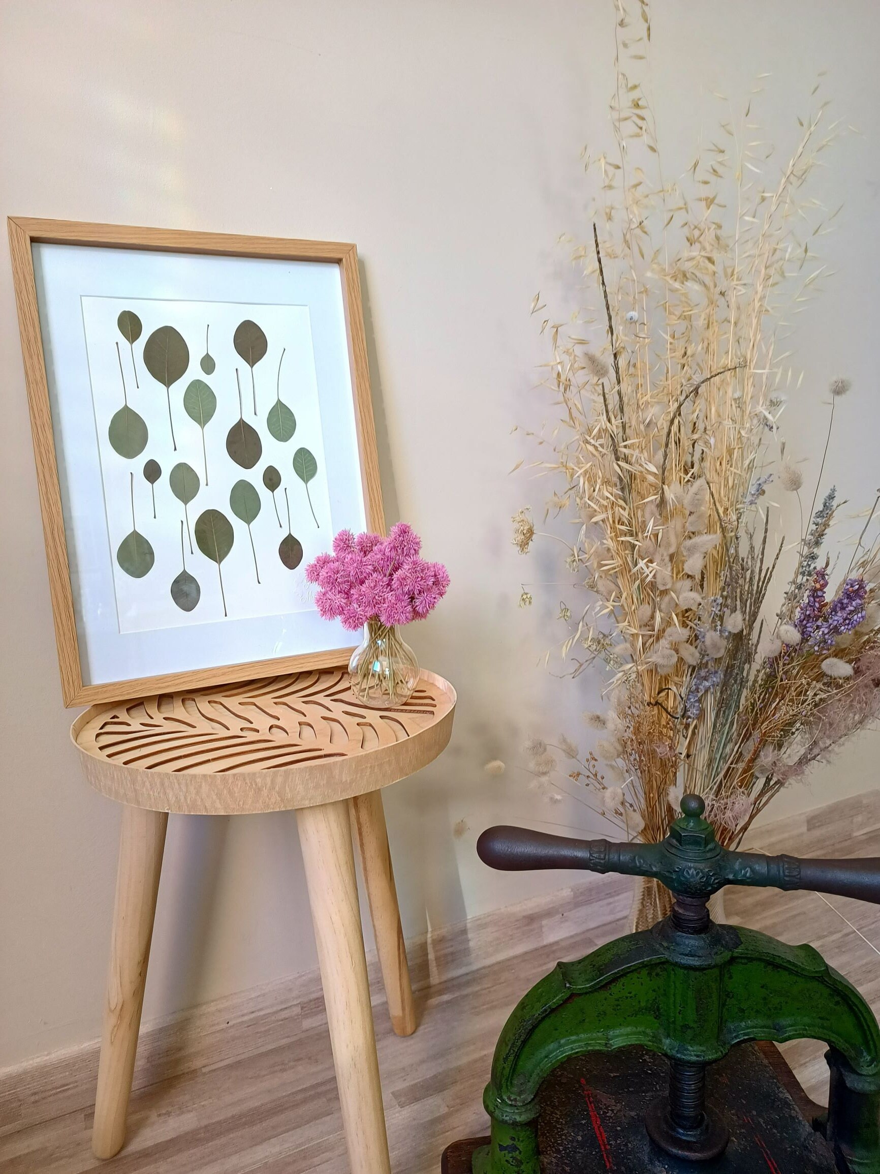 Herbier Feuilles - Feuilles de Bordeaux