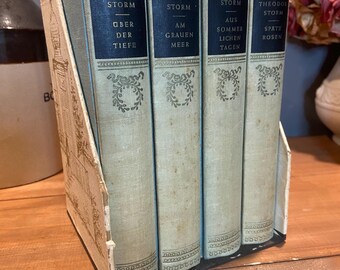 Theodor Storm Book Set