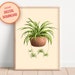 PRINTABLE Botanical Spider Plant Wall Art | Home Decor for Plant Lovers ...