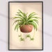 PRINTABLE Botanical Spider Plant Wall Art Home Decor for Plant Lovers ...