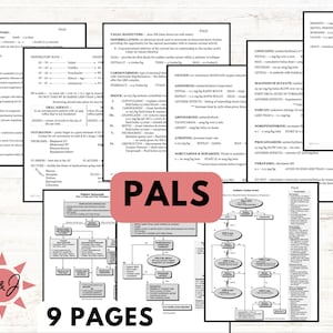 2024 PALS nurse notes, made by an ICU nurse. PALS meds, standards of care, and basic knowledge.
