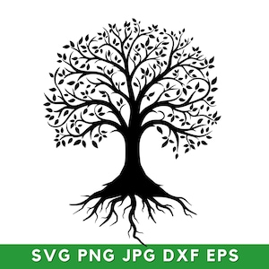 Family Tree Svg Family Tree Png, Tree Of Life Svg, Family Tree Branch, Family Tree Clipart, Family Tree Dxf, Commercial Use,Instant Download