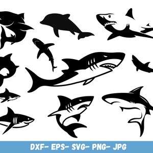 Puede incluir: Un conjunto de diez im&aacute;genes en silueta en blanco y negro de tiburones en varias poses. Los tiburones est&aacute;n todos mirando en diferentes direcciones y tienen diferentes formas de aletas. Las im&aacute;genes son perfectas para usar en manualidades, scrapbooking o dise&ntilde;o digital.