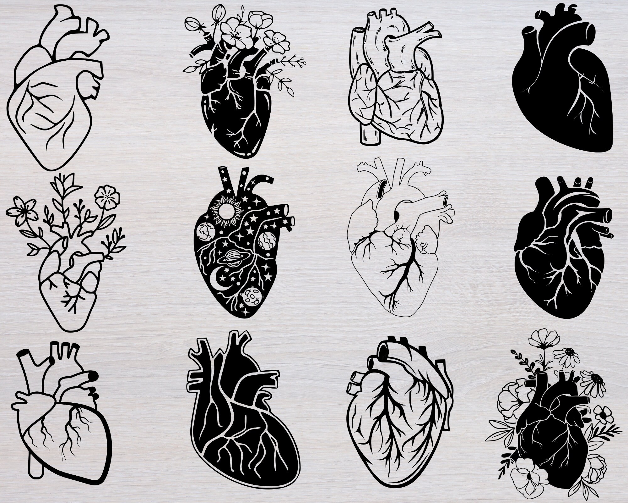 Anatomical Heart Svg Bundle, Anatomical Heart Svg, Human Heart Svg