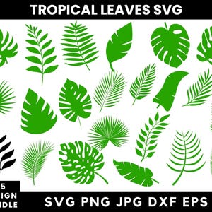 25+ Tropical Leaves Svg Bundle, Tropical Leaf Svg, Palm Leaves Svg, Jungle Leaves Svg, Monstera Svg Leaves, Instant Download, Tropical Svg