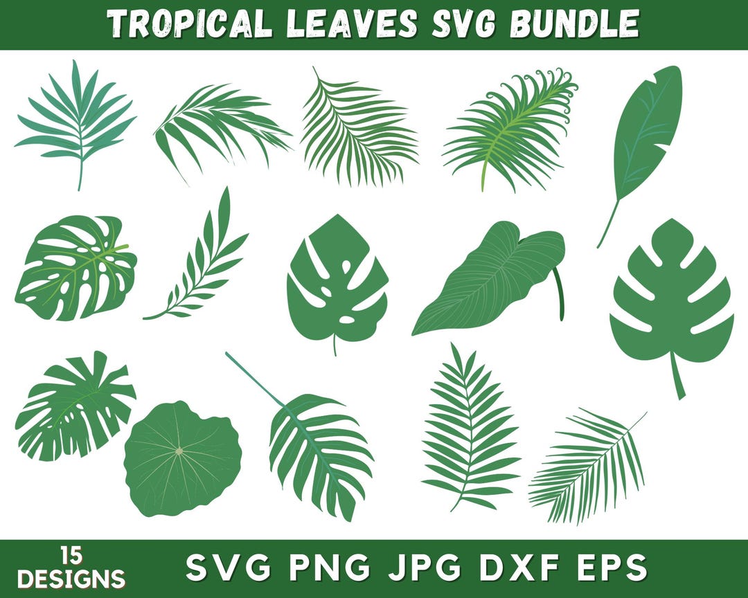 Tropical Leaves Svg Bundle, Jungle Leaves Svg, Monstera Leaf Svg Bundle ...