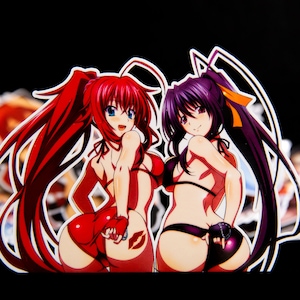 Himejima Akeno and Rias Gremory  High School DxD Sexy Waifu Anime Stickers or Magnets