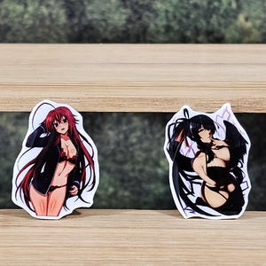 Rias Gremory &  Akeno Himejima High School DxD Plastic Resin Pin
