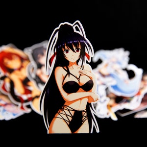 Akeno Himejima High School DxD Sexy Waifu Anime Stickers or Magnets