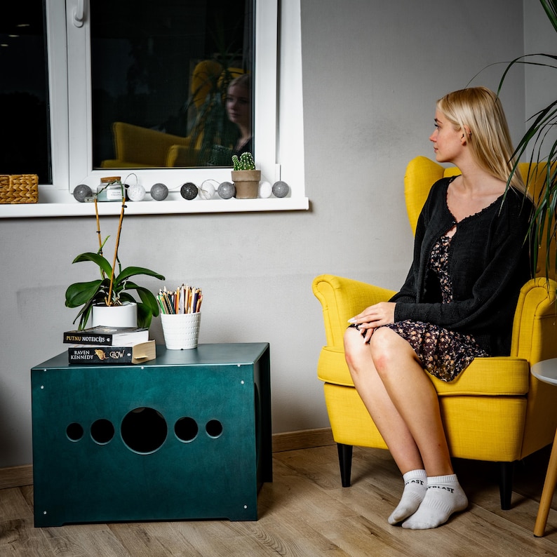Wooden Cat Litter Box Bench: Modern Hallway Pet Furniture