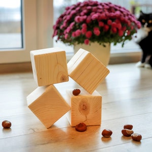 May include: Four unfinished wooden cubes stacked on a wooden floor, with several chestnuts scattered around them. A white pot with a vibrant pink flower arrangement sits in the background, and a black and white cat is visible.