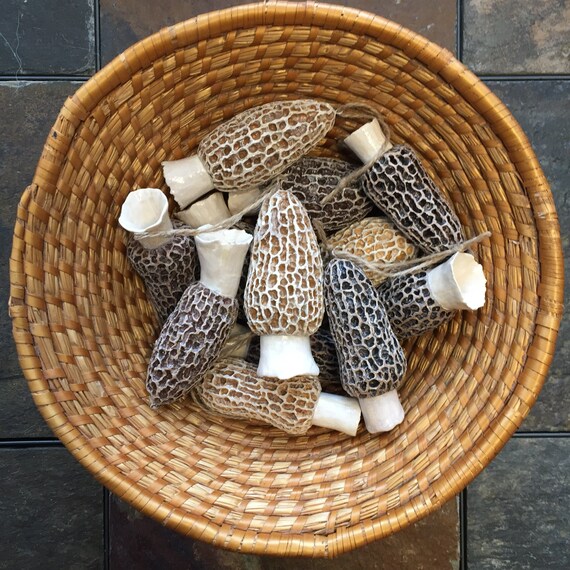 Realistic Morel Mushroom Ornament Polymer Clay Etsy
