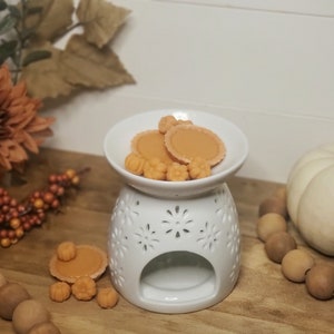 Pumpkin Pie Wax Melts | Realistic Food Wax Melts | Fall Wax Melts | Highly Scented Soy | Home Décor | Housewarming | Gift