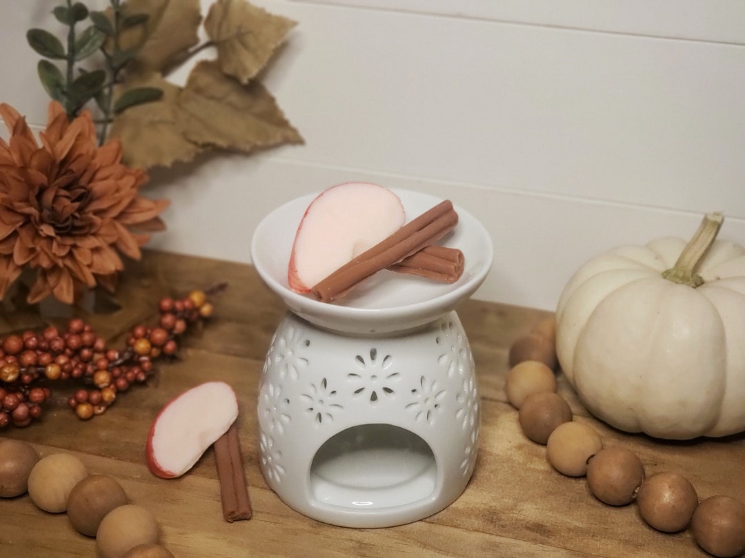 Apple Cinnamon Wax Melts Realistic Food Wax Melts Fall Wax Melts Highly