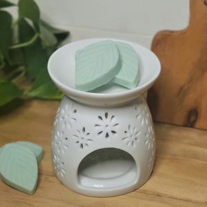 Breath of Fresh Air Wax Melts | Shaped Realistic Wax Melts | Highly Scented | Home Décor | Housewarming | Gift | Stocking Stuffer