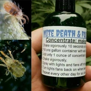 Mite death and Foliar concentrate kills all soft bodied garden pest naturally