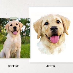 May include: A before and after image of a dog. The before image shows a yellow Labrador Retriever puppy sitting in the grass. The after image shows a digital painting of the dog's face.