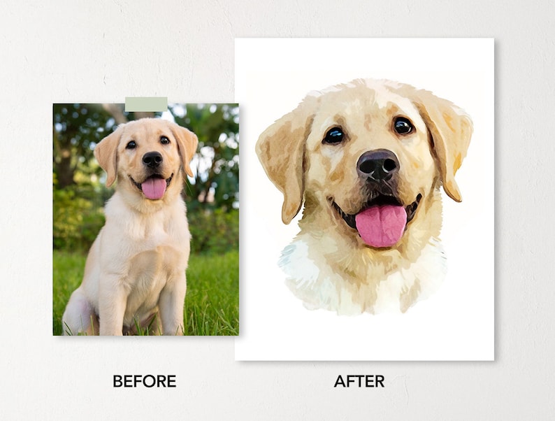 May include: A before and after image of a dog. The before image shows a yellow Labrador Retriever puppy sitting in the grass. The after image shows a digital painting of the dog's face.