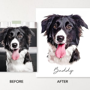 May include: A before and after image of a black and white dog with a pink tongue sticking out. The dog is named Buddy. The before image shows the dog in a natural setting, while the after image is a stylized illustration.