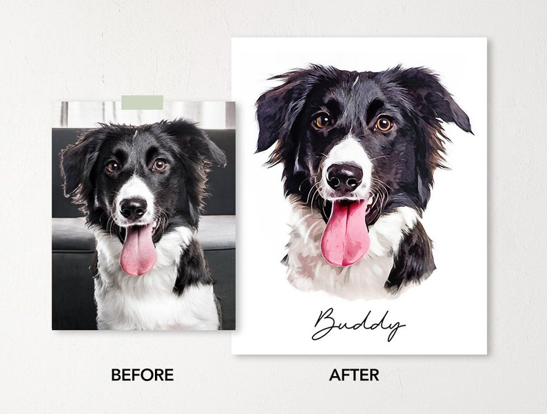 May include: A before and after image of a black and white dog with a pink tongue sticking out. The dog is named Buddy. The before image shows the dog in a natural setting, while the after image is a stylized illustration.