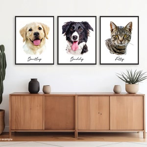 May include: Three framed pet portraits on a white wall above a wooden cabinet. The portraits feature a golden retriever named Bentley, a black and white border collie named Buddy, and a tabby cat named Kitty.