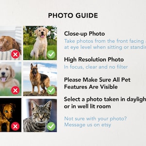 May include: A photo guide with examples of good and bad photos for pet portraits. The guide shows examples of photos that are too dark, blurry, or not taken from the front. It also shows examples of photos that are well-lit, in focus, and taken from the front.