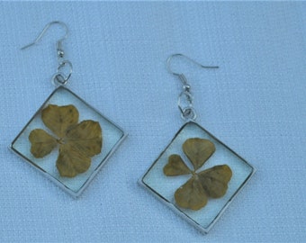 Four Leaf Clover Resin Earrings