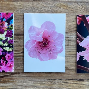 Set of 3 Gift Cards - Cherry Blossoms