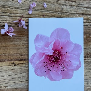 Assorted Greeting Cards
