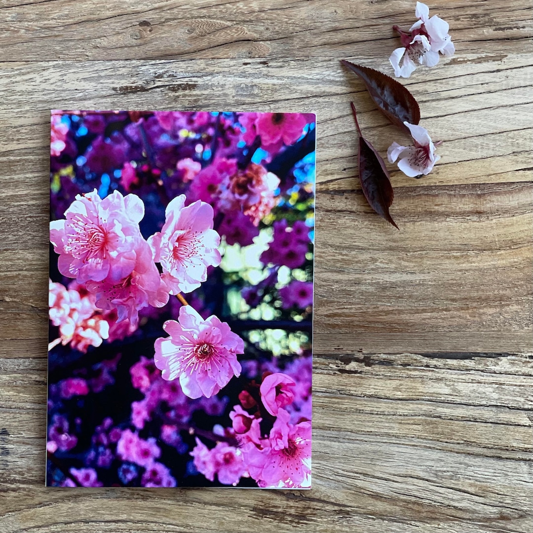 Cherry Blossom Greeting Card - Etsy