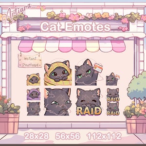 Quatre émoticônes de chat gris pour streamers, 1 animation, paquet d'émoticônes de chat, diffusion de kicks YouTube sur Twitch Discord, couverture par carte de crédit Hmm raid par balayage