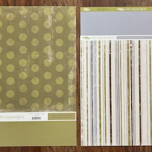 My Mind’s Eye Wild Asparagus Scrapbook Paper