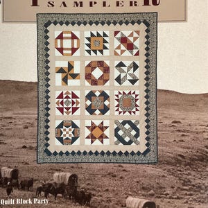 Quilt in a Day Pioneer Sampler by Eleanor Burns series five