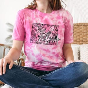 Colorado Breastfeeding shirt, nursing shirt, breastfeeding friendly, pumping friendly, mom shirt