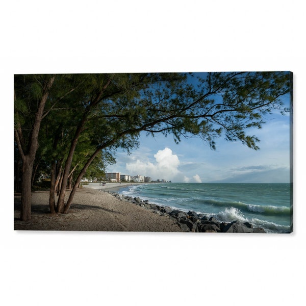 South Jetty Tree, Venice Florida, Canvas Print, Framed Canvas, Venice Beach Photos, Coastal Decor by Liesl Walsh Photography