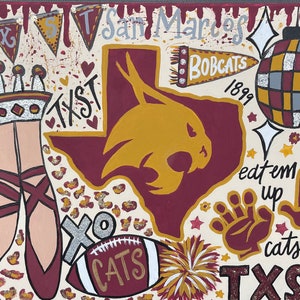Peinture Texas State Custom College
