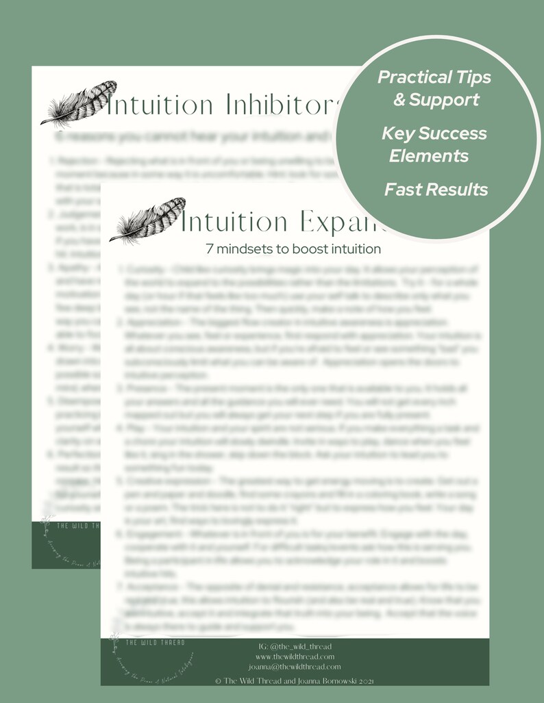 May include: A black and white image of a feather with the text "Intuition Inhibitors" and "Intuition Expand 7 mindsets to boost intuition" on a white background. The text "Practical Tips & Support", "Key Success Elements", and "Fast Results" is in a circle with a white background.